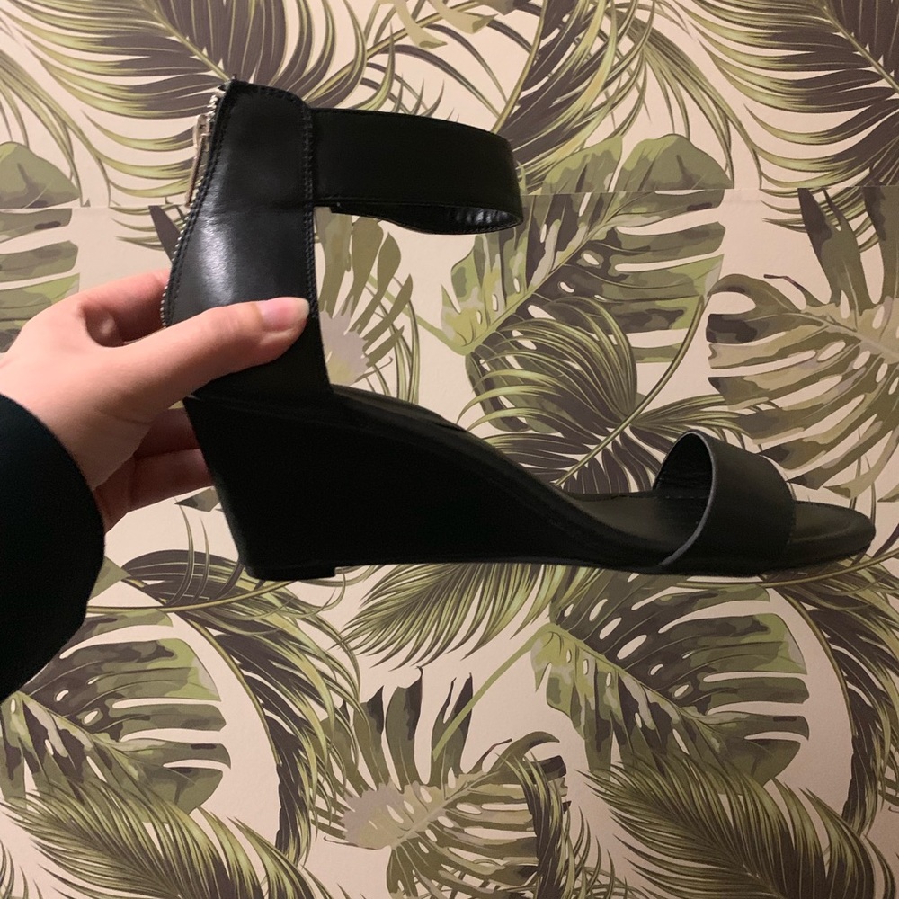 Torid wedges